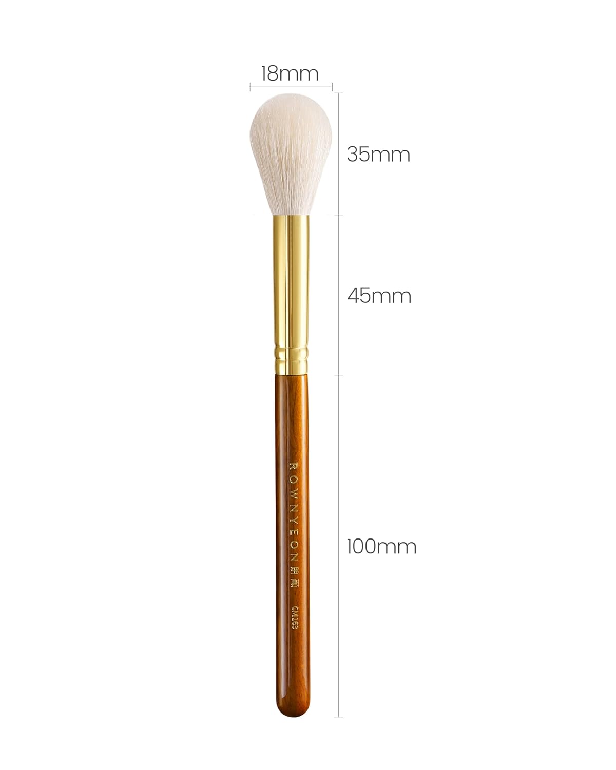Desert Oak Series Luminous Flame Highlighter Brush - Natural Goat Hair Bristles for Precise Highlight & Blush, Luxury Bubinga Wood Handle (CM 163)