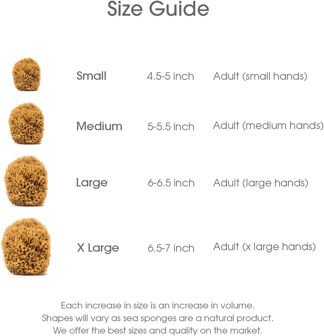 Naroa Soft Natural Sea Sponge | Gentle Loofah for Bathing Smooth Skin | Unbleached Shower Body Scrubber Puff | Bath & Spa (Medium)