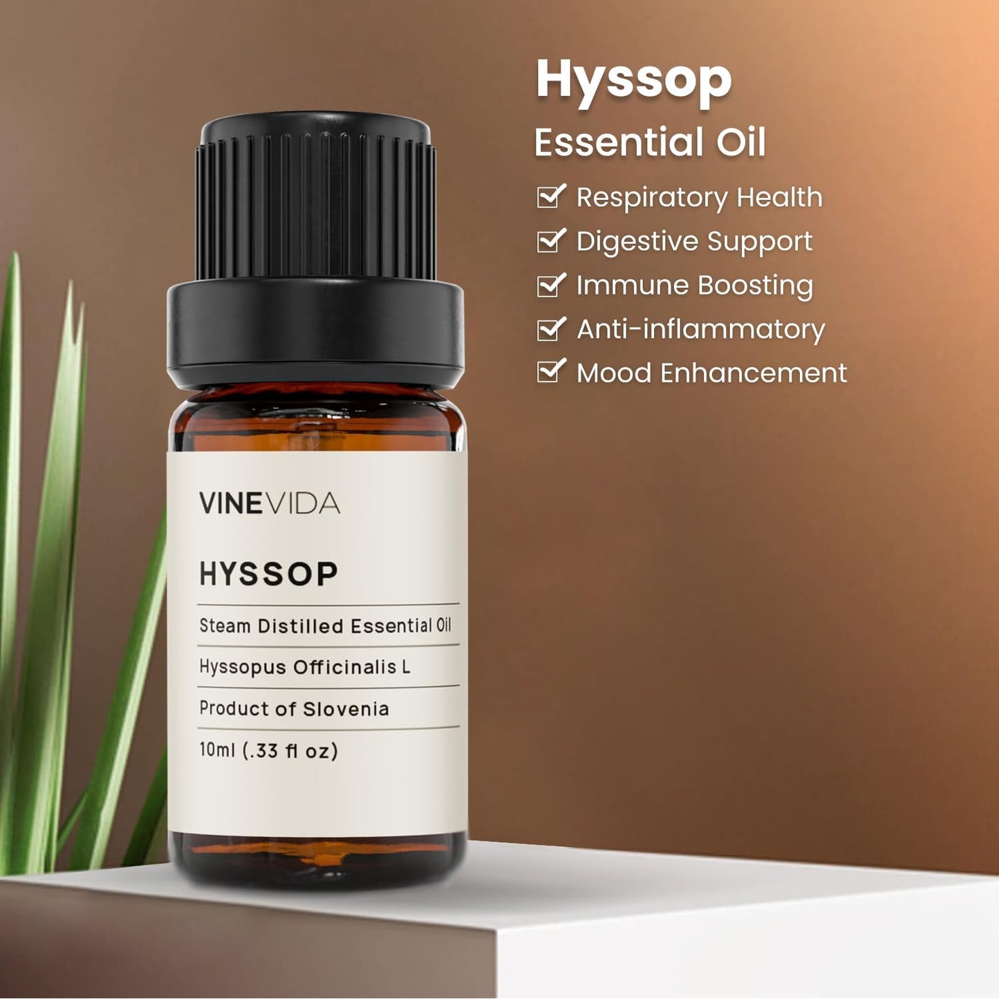 VINEVIDA Hyssop Essential Oil 10 mL - Undiluted Hyssop Oil 10 mL - Hyssop - DIY Candle Scents for Candlemaking - 10 mL Essential Oil for Soap Making Safe for Skin (4OZV-OBP-HYS-SOP-10ML)