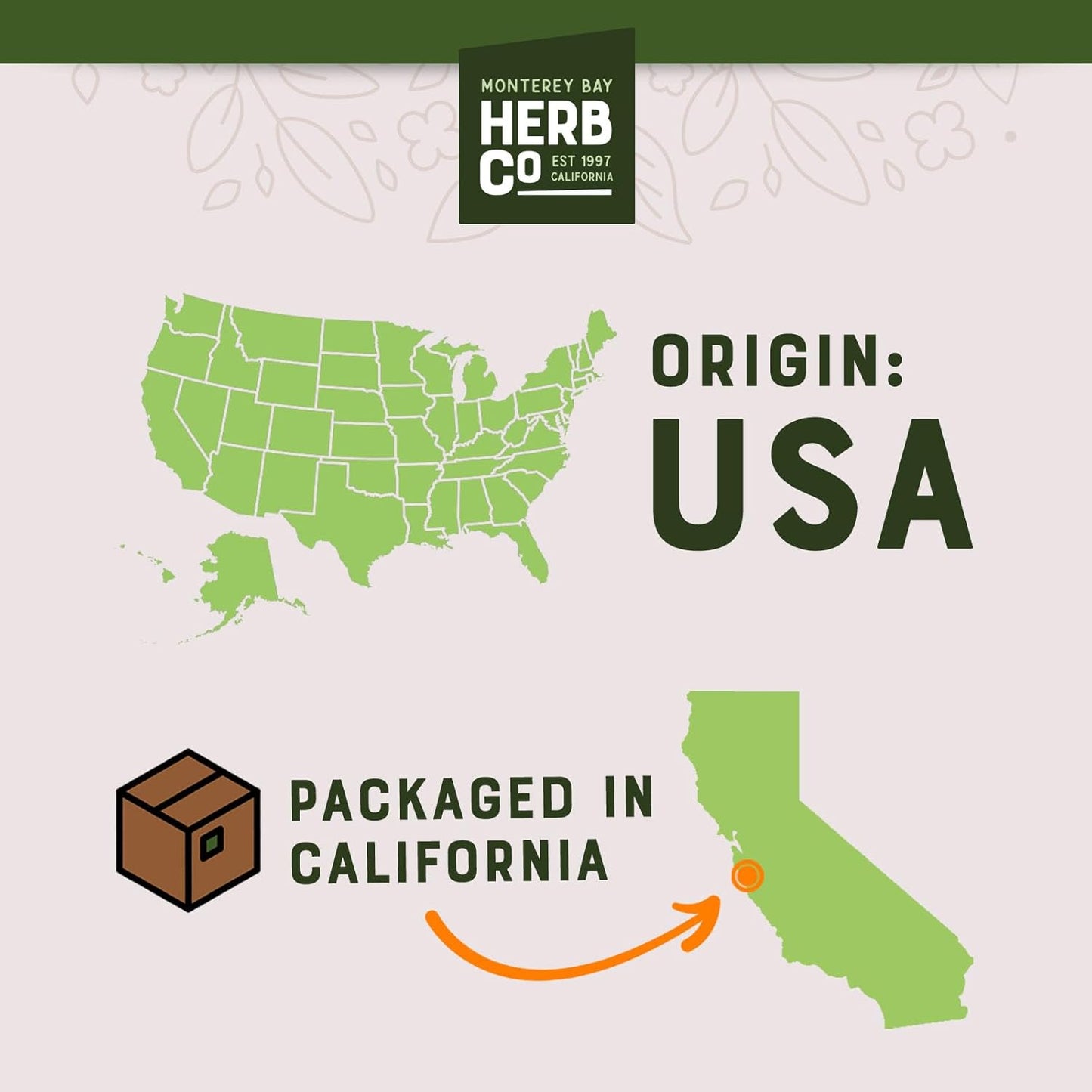 MONTEREY BAY HERB CO. Activated Charcoal Powder | Use for Body Care, Face Masks, Toothpaste (1/4lb)