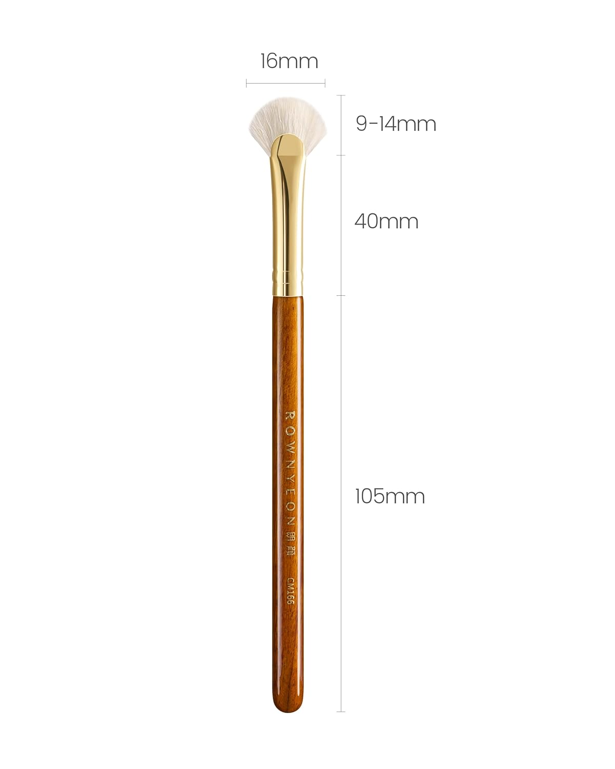 Desert Oak Series Mini Fan Brush - Ultra-Fine Goat Hair for Precision Highlighting, Flat Fan Shape Targets Cheekbones/Nose Bridge, Ebana Bubinga Handle & Brass Ferrule (CM 166)