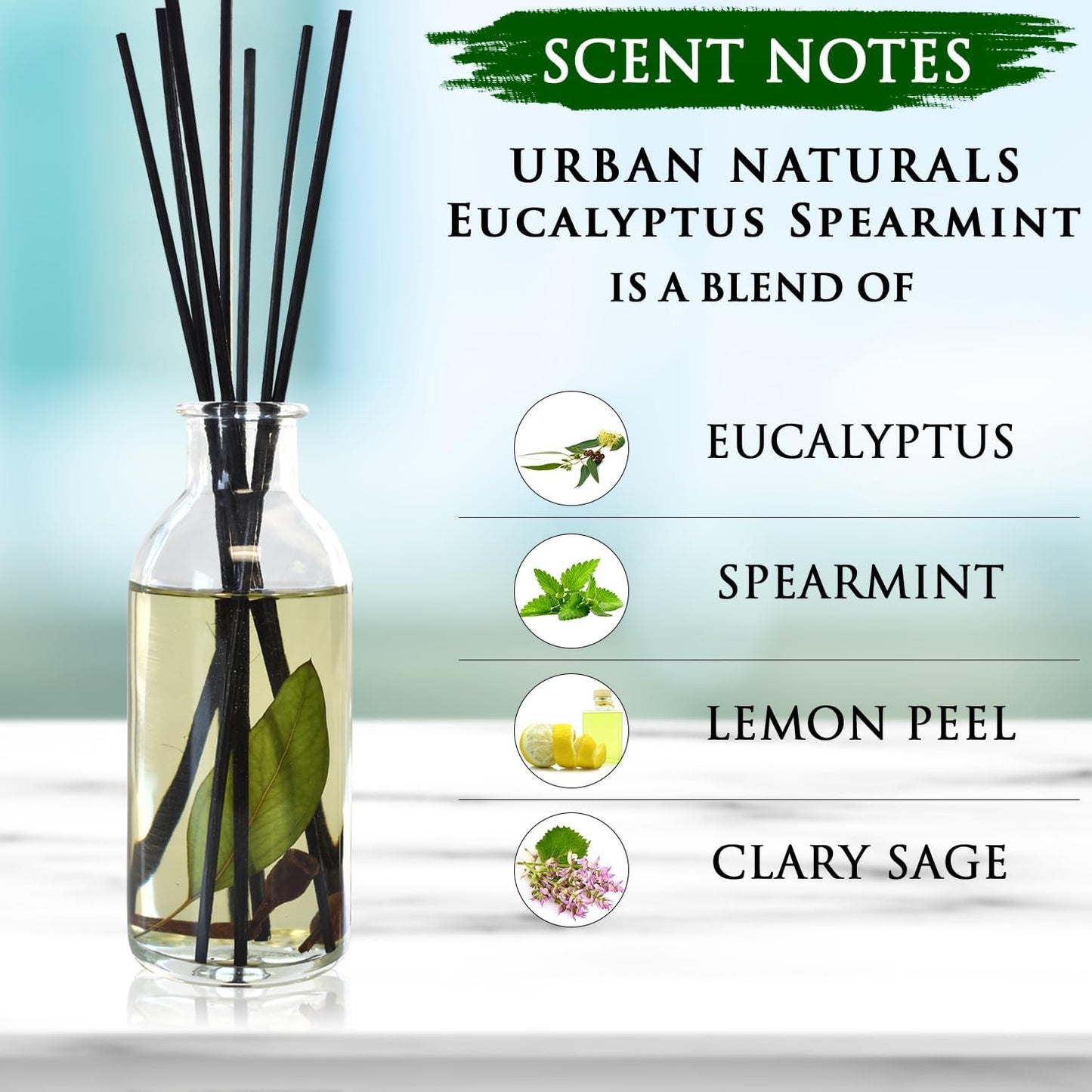 Urban Naturals Eucalyptus Spearmint Stress Relief Aromatherapy Diffuser Gift Set | Fragrance Your Space | Fresh Scented Room Freshener + Home Decor | Home Gift Idea. Vegan.