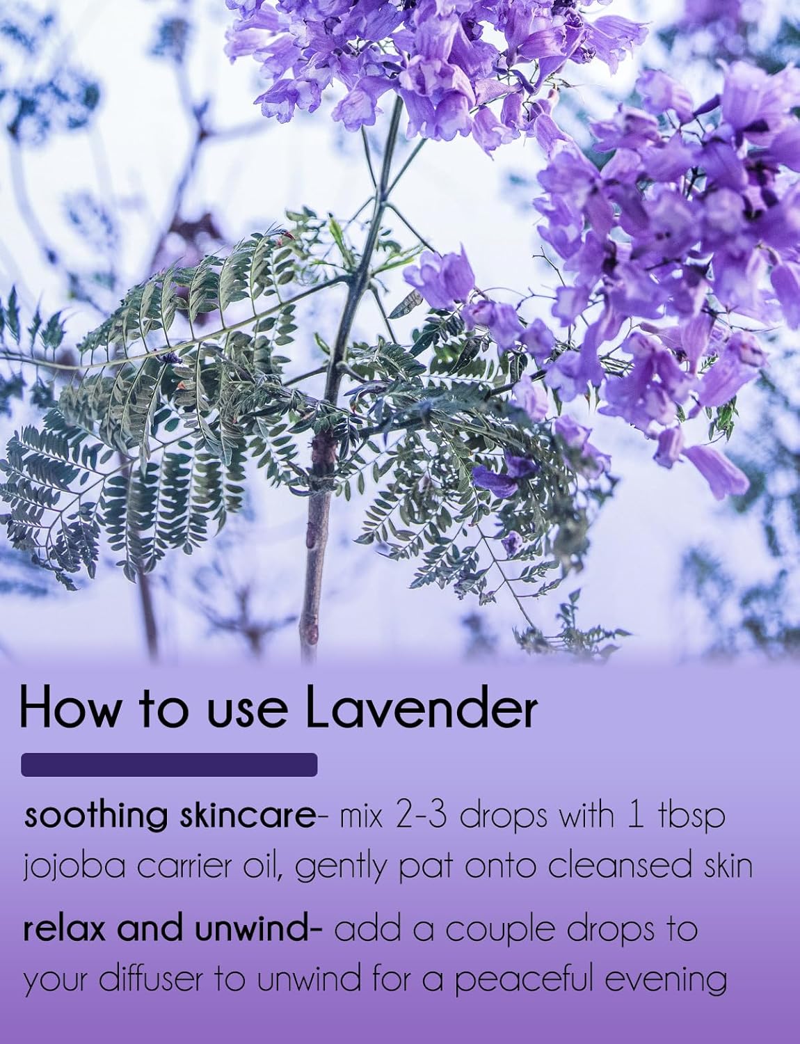 2 Bottles - 16 fl oz Lavender Essential Oil - 100% Essential Oil, Aluminum Bottle - GreenHealth