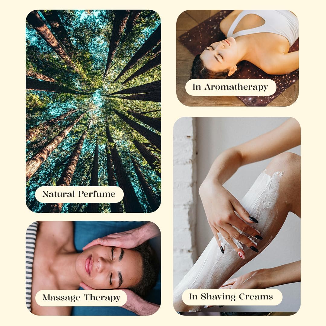 Luxurious Saffron Essential Oil by Enhanced Essentials| Slow Distilled & Pure| for Home,Diffusers,Skin & Hair Care,Aromatherapy,Bath,Perfume,Soap & Candle Making|with Glass Dropper| 1 fl oz (30 ml)