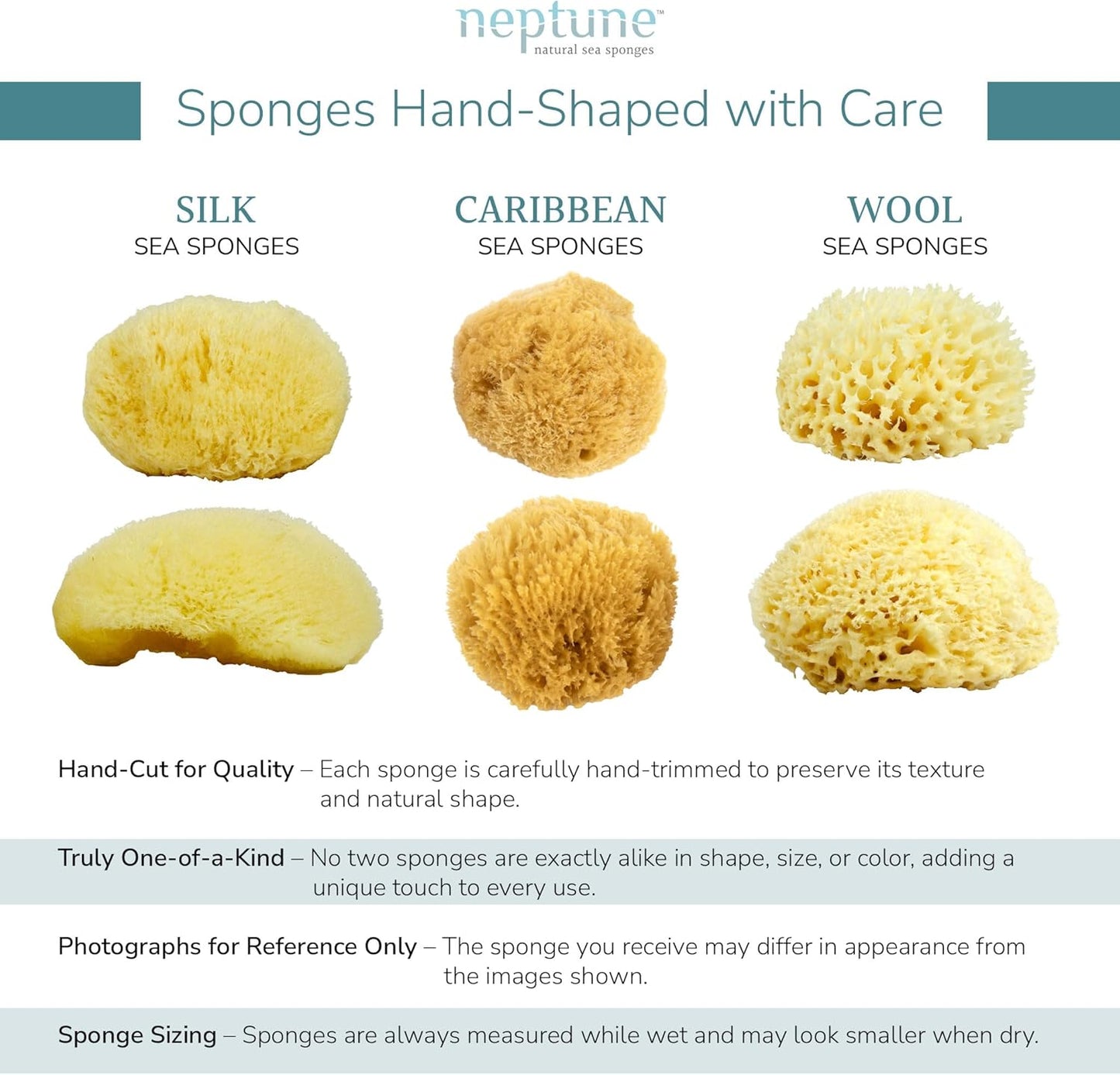 Neptune Caribbean Sea Sponge, Hand Cut, Large, Approx. 6-7 inches (Pack of 2)