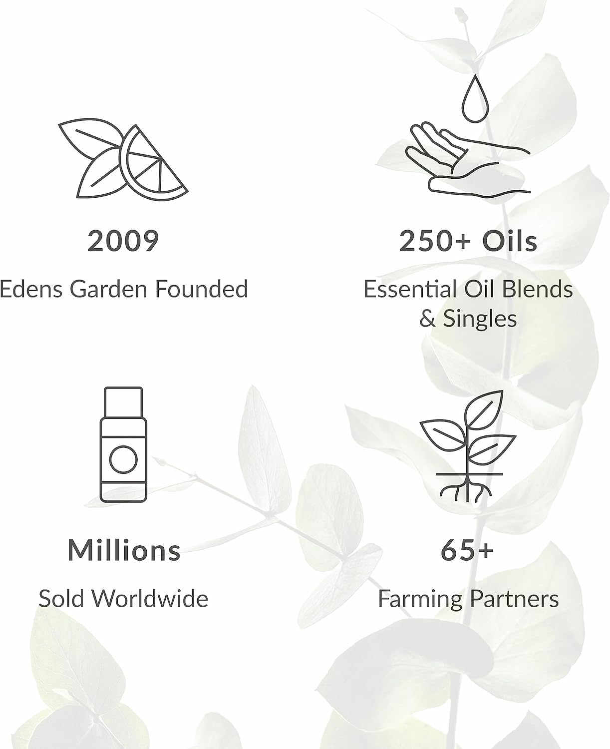 Edens Garden Citrus Cream Essential Oil Blend- 100% Pure Premium Grade, Undiluted, Natural, Therapeutic, Aromatherapy, The Best for Diffusing, Candle, Laundry, Humidifiers 10 ml (.33 fl oz)