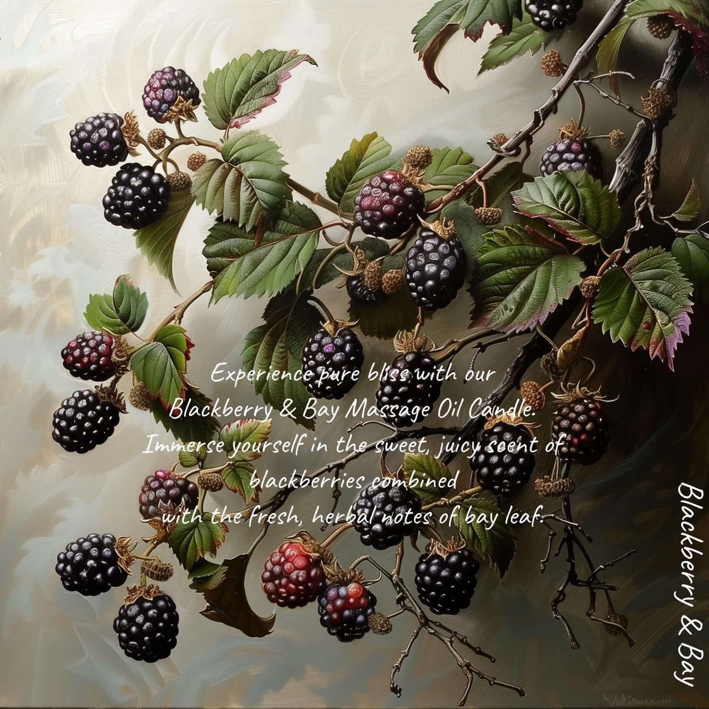 MELONY Massage Oil Candle for Pure Relaxation- 8.1 oz- Moisturizing Essential Oil Body Massage Candle for Home Spa- Amazing Gift for Women & Men (BlackBerry & Bay)