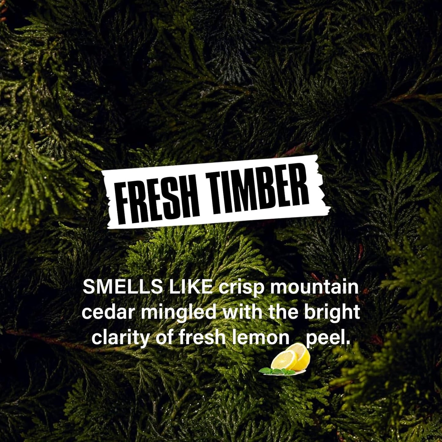 2-in-1 Beard Wash & Conditioner – Softens & Hydrates Dry, Coarse Beards for Effortless Styling – Cleanses & Conditions for Healthier, Fuller Facial Hair – Fresh Timber Scent – 8.45 fl oz