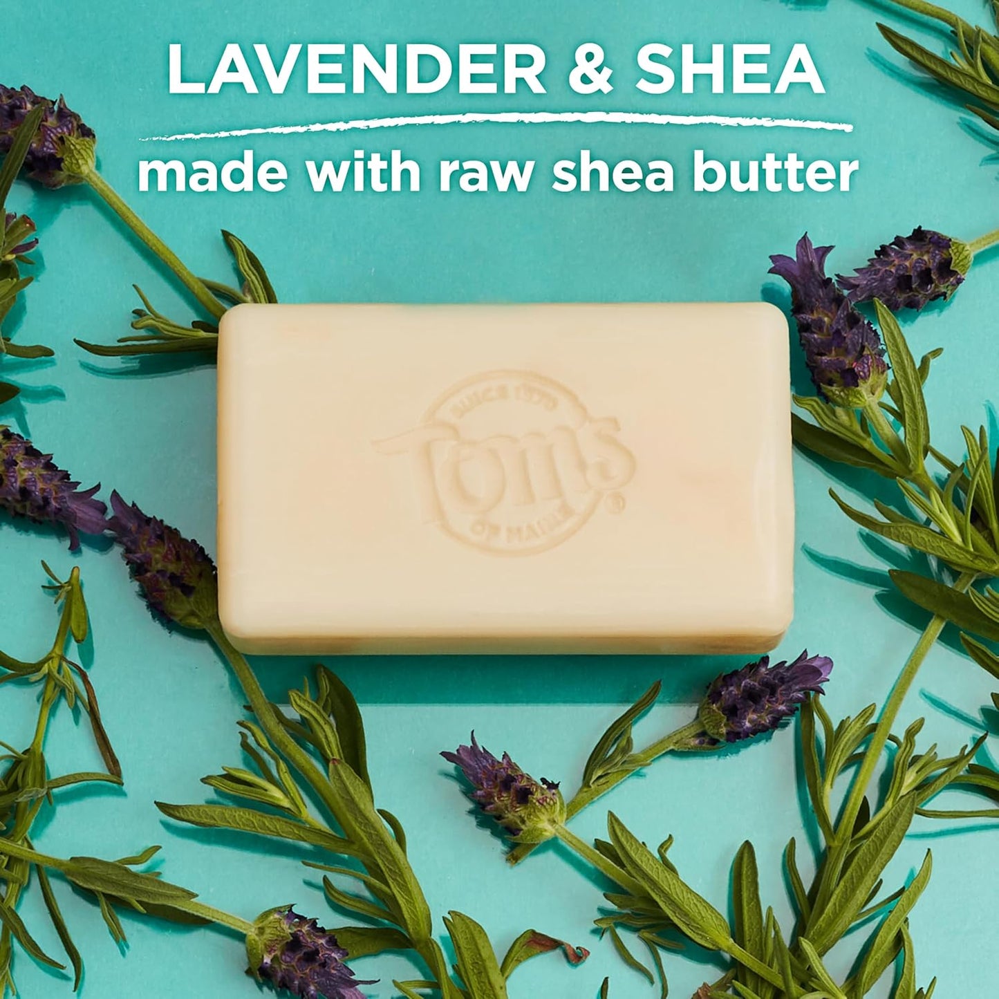Tom's of Maine Natural Beauty Bar Soap, Lavender & Shea With Raw Shea Butter, 5 oz. 6-Pack (Packaging May Vary)