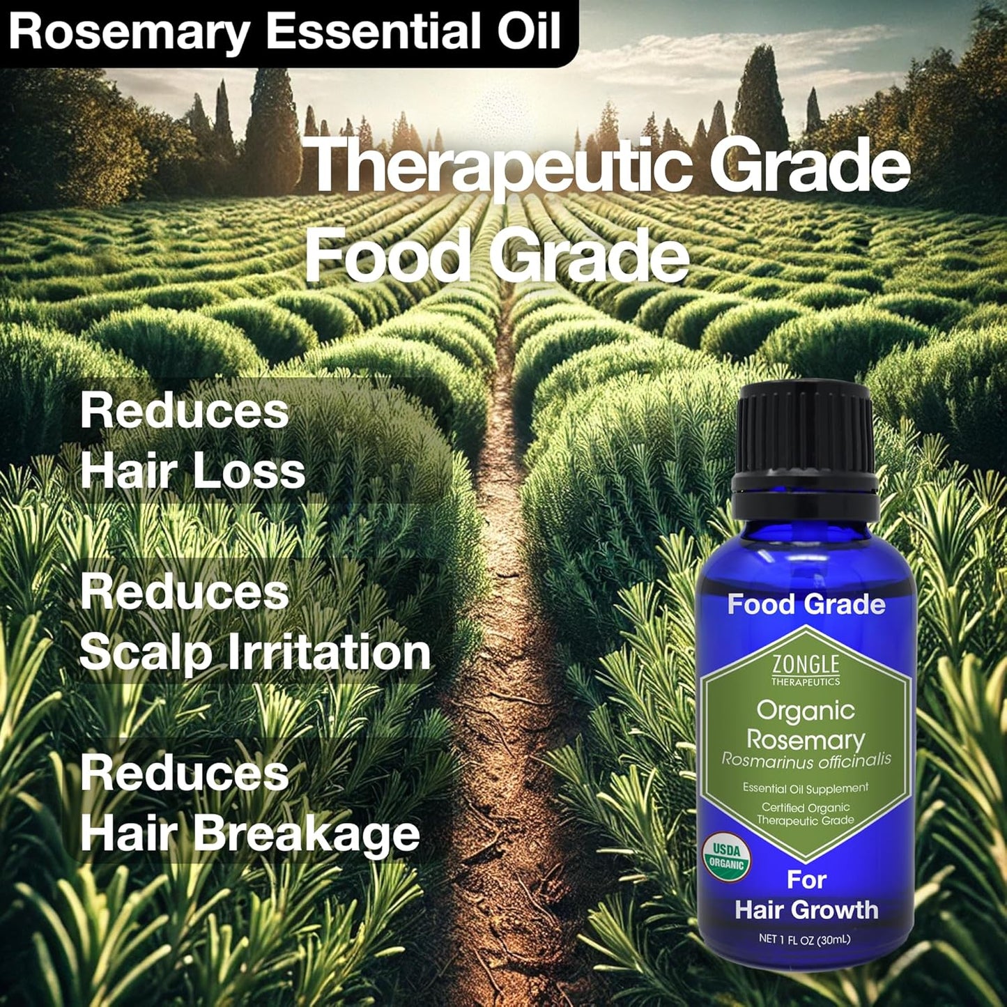 Organic, Rosemary Oil, Food Grade, for Hair, Growth – 100% Pure, Edible, Rosemary Essential Oil, by Zongle Therapeutics, 1 OZ