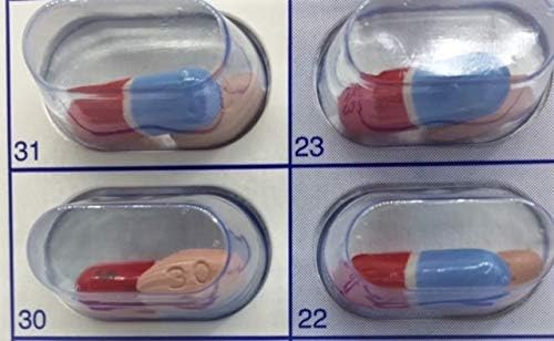 250 Cards 250 Blisters for 31 Day Monthly Cold Seal Pill Storage, Summer Camps, Pharmacists, Cargivers (250)