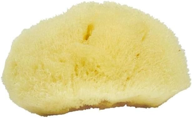 Sea Soft Silk Sponge - for Cosmetic Use, Facial Cleansing, 3-4 inches
