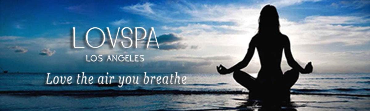 LOVSPA Eucalyptus Reed Diffuser Set for Home, Revive Fresh Eucalyptus, Sage, Citrus & Mint Scent Diffuser with Sticks for Bathroom Shelf Decor Accessories, Top Aromatherapy Gift for Women