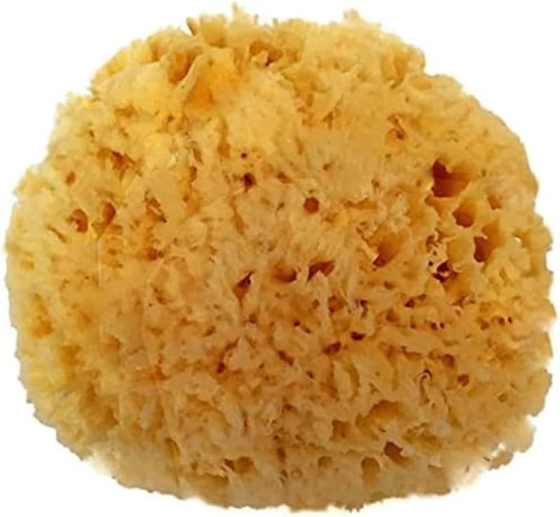 Spa Destinations Natural Sea Wool Sponge 5-6" Natural Renewable Resource Bath & Shower