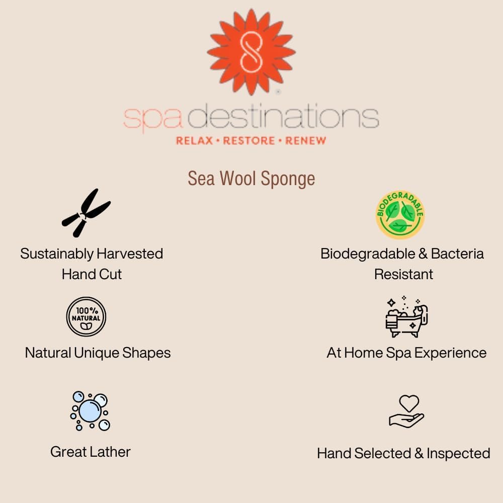 Spa Destinations Natural Sea Wool Sponge 5-6" Natural Renewable Resource Bath & Shower