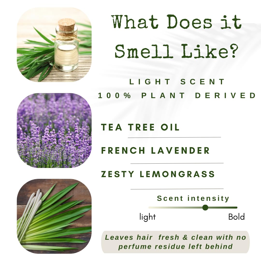 Bar Shampoo | Clarifying Shampoo for Oily Hair | Supports Healthy Hair Growth | Travel Essential | Lemongrass & Lavender with Tea Tree Oil | Handmade in USA 1-pk