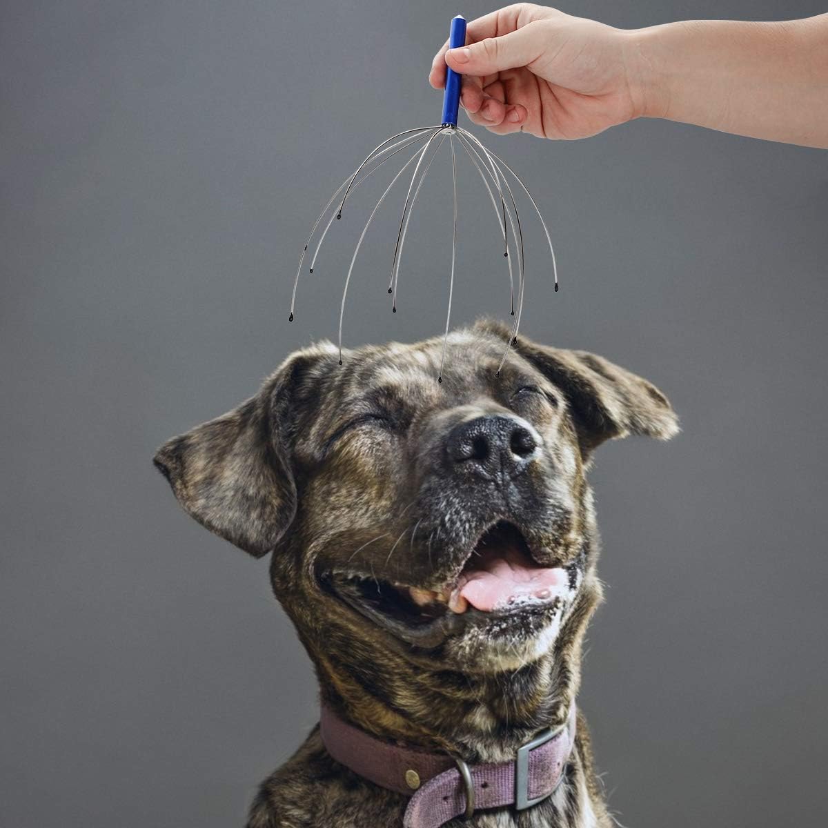 4 Pack Scalp Massagers, Handheld Head Massage Tingler, Scratcher for Deep Relaxation, Hair Stimulation and Stress Relief Christmas Gift