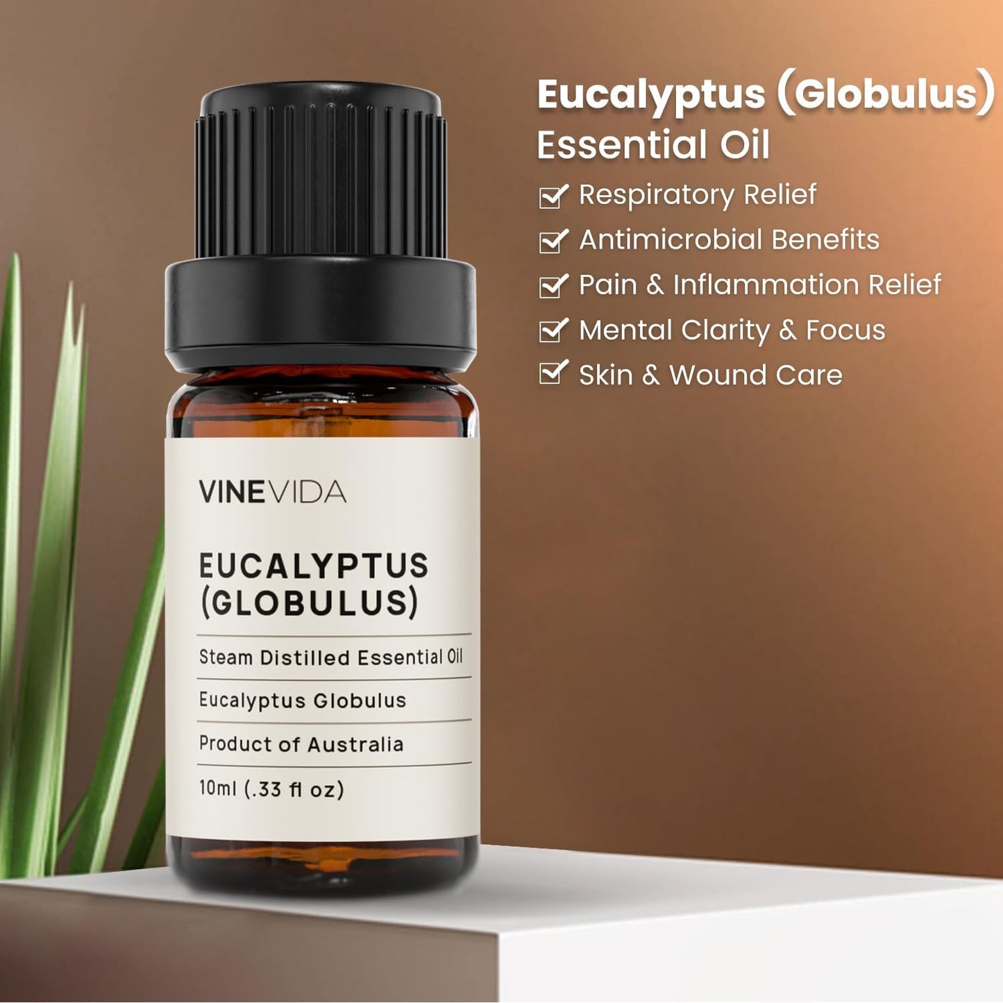 VINEVIDA Eucalyptus Essential Oil - 10 mL Undiluted - DIY Candle Scents - Safe for Skin