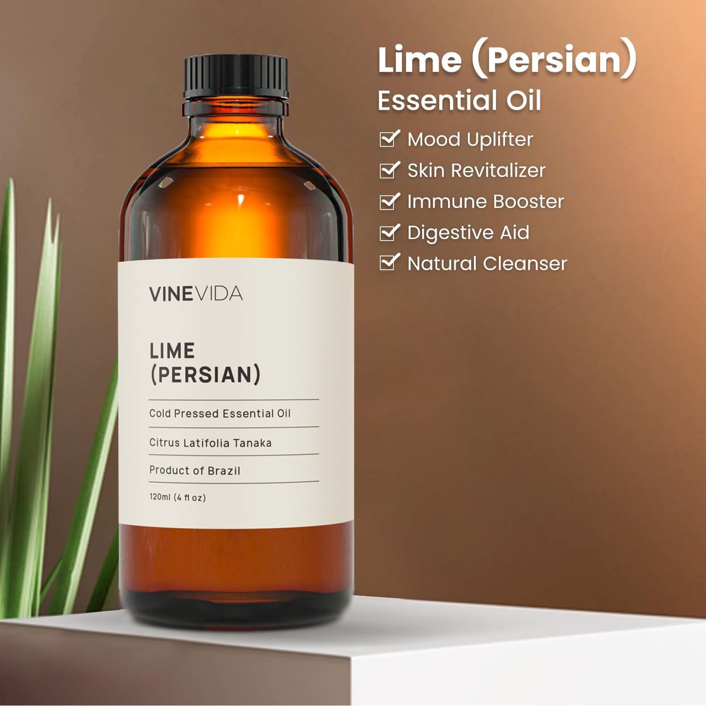 VINEVIDA Lime Essential Oil 4 oz - Lime Candle Oil Scent - DIY Candle Scents for Candlemaking - Bulk Essential Oil for Soap Making Safe for Skin