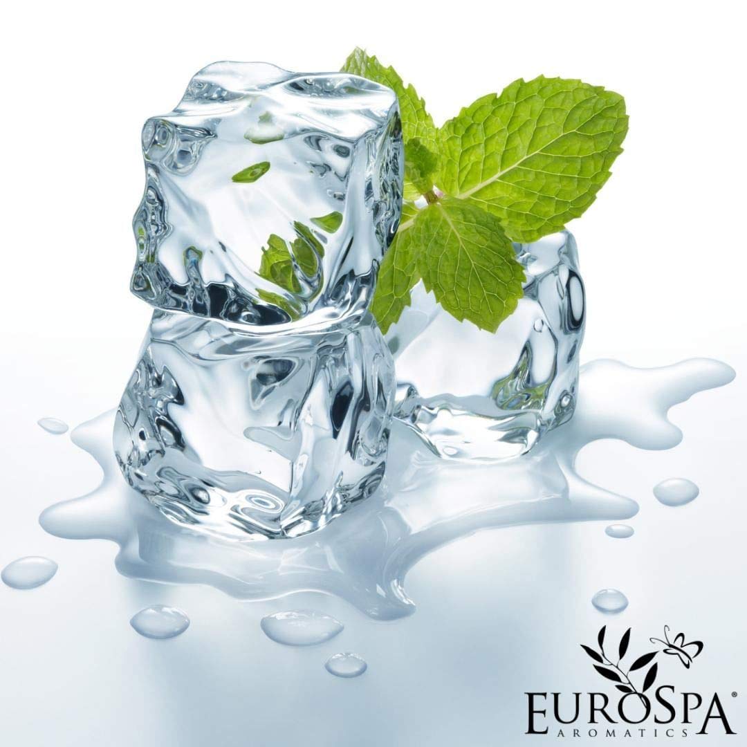 EuroSpa Aromatics Pure Eucalyptus Oil ShowerMist and Steam Room Spray, All-Natural Premium Aromatherapy Essential Oils - Menthol Infused, 2oz