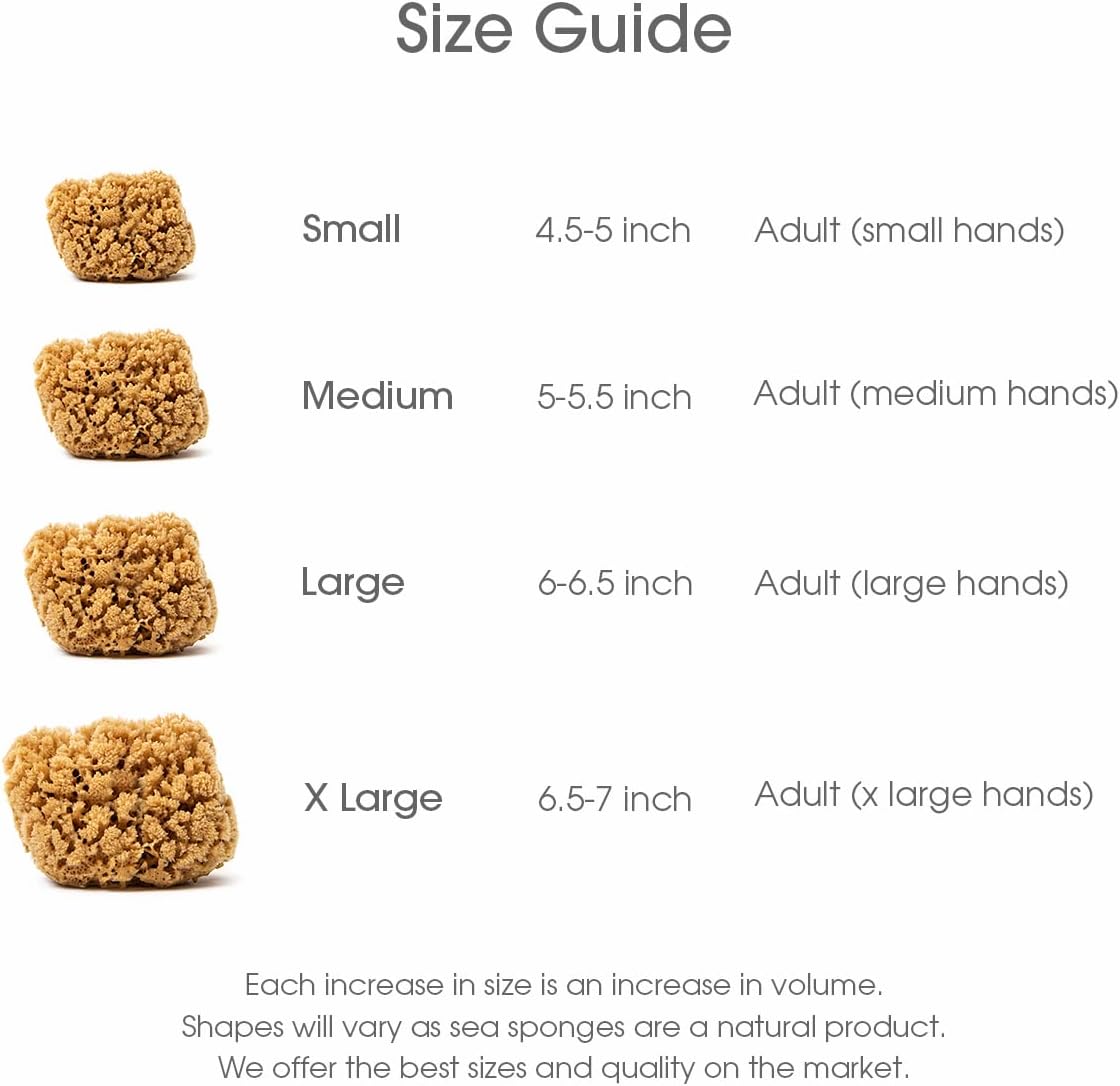 Naroa Massage Natural Shower Sponge | Unbleached Body Scrubber Puff | Bath Sea Loofah for Healthy Skin | Sustainable Plastic Free (Medium)