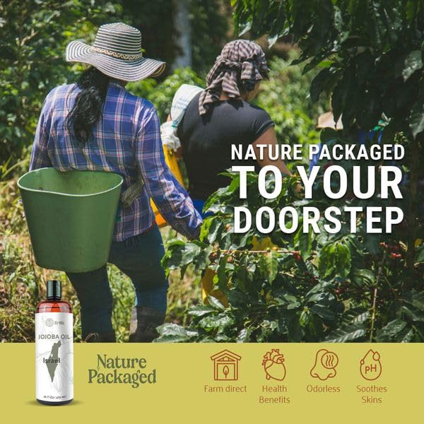 Jojoba Oil - Direct from EIR Oils' Farm in Israel - 100% Pure Carrier Oil for Hair, Face, and Skin - Hand-Picked, Cold-Pressed Carrier Oil (16oz)