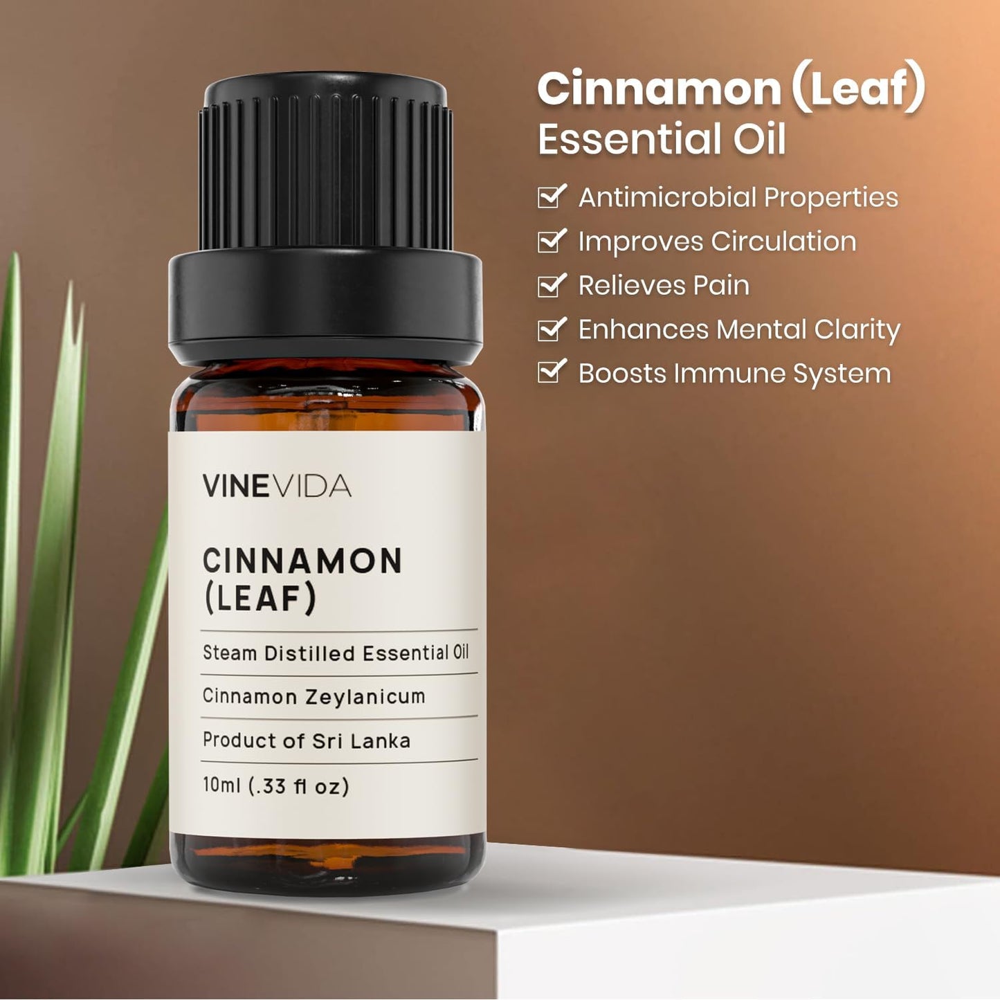 VINEVIDA Cinnamon Leaf Essential Oil 10 mL - Undiluted, Pure, Vegan, Reusable Glass Bottle with Euro Dropper