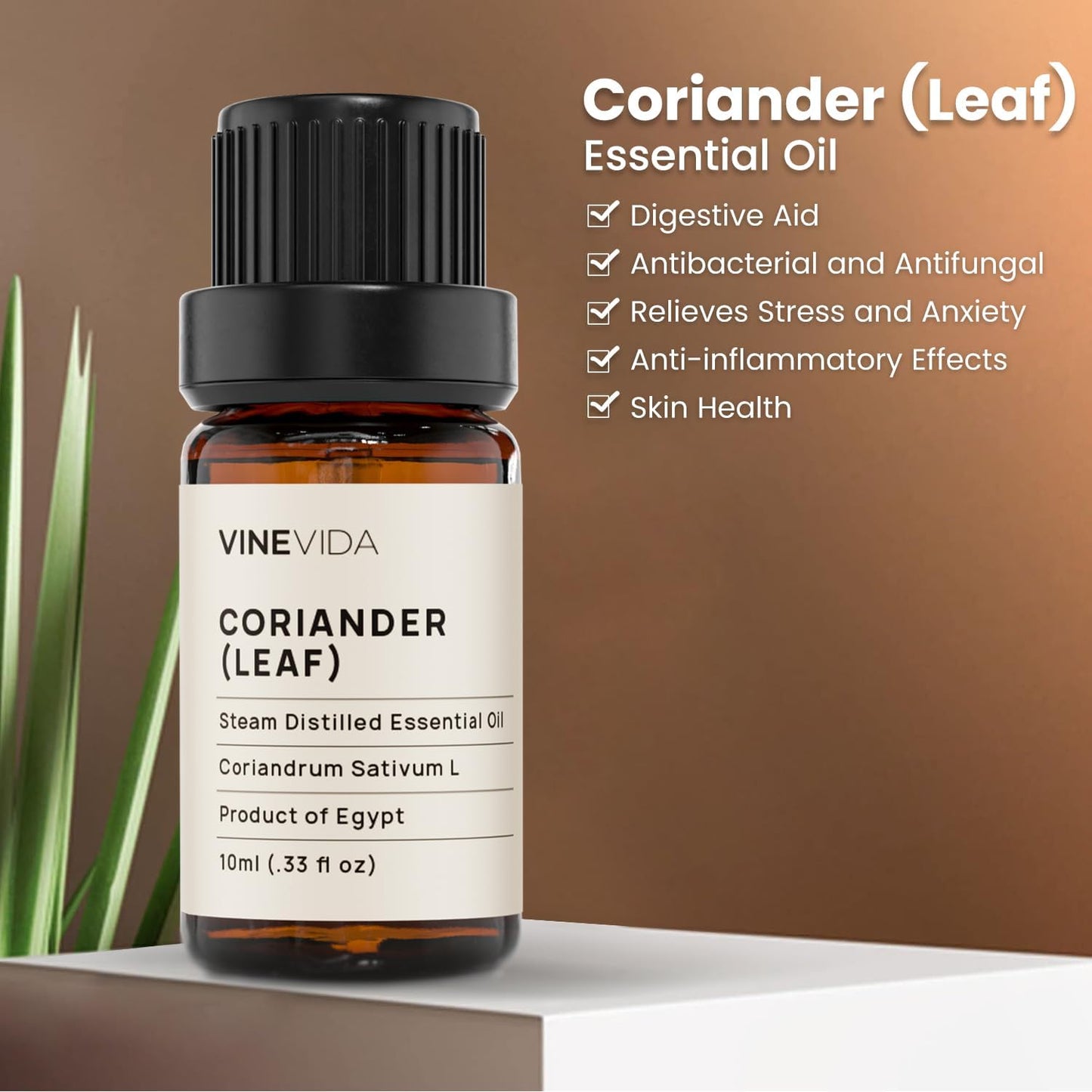 VINEVIDA Coriander Essential Oil - Undiluted Leaf Oil - Candle Oil Scent - DIY Candle Scents - 10 mL for Soap Making