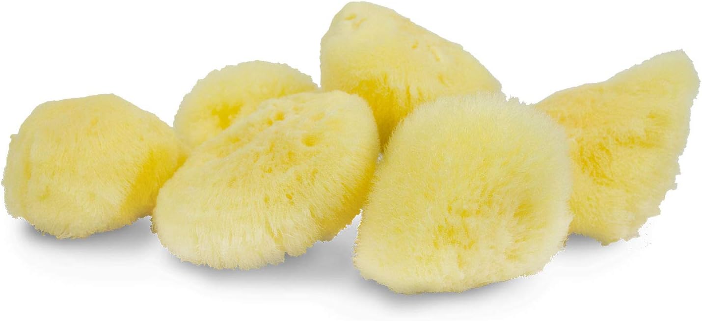 Sea Silk Sponge 6pc Kit, Hand Cut, Small, Approx. 1-2 inches, Ideal for Cosmetic Use and Facial Cleansing