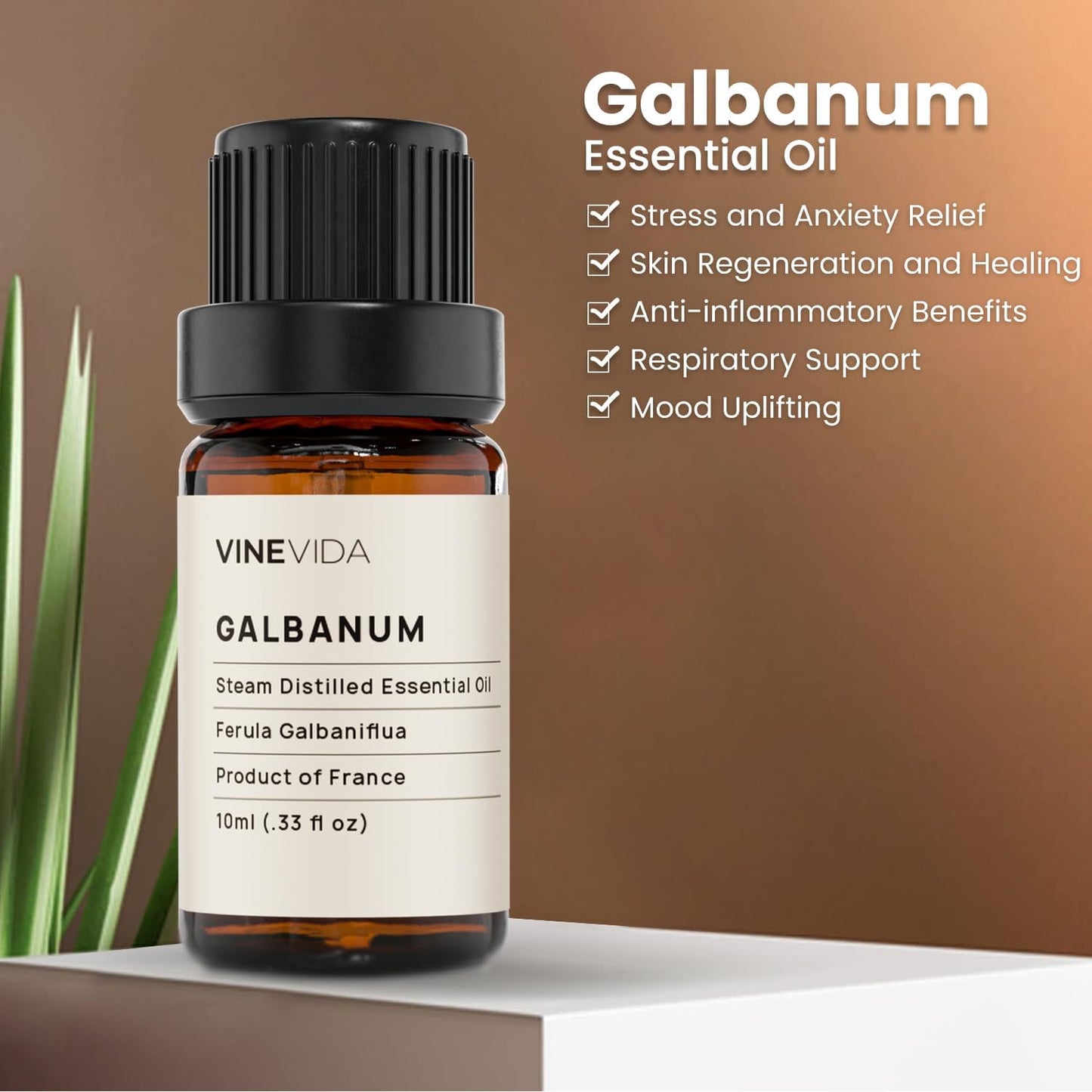 VINEVIDA Galbanum Essential Oil 10 mL - Undiluted Galbanum Oil 10 mL - Galbanum Candle Oil Scent - DIY Candle Scents for Candlemaking - 10 mL Essential Oil for Soap Making Safe for Skin