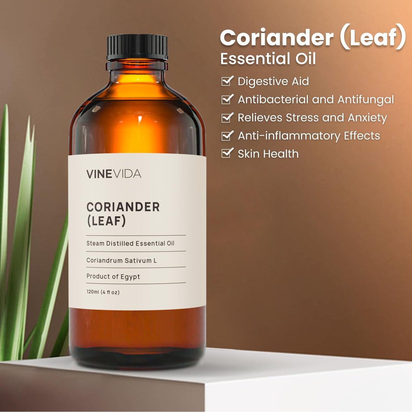 VINEVIDA Coriander Essential Oil 4 oz - Scent for DIY Candles & Soap Making