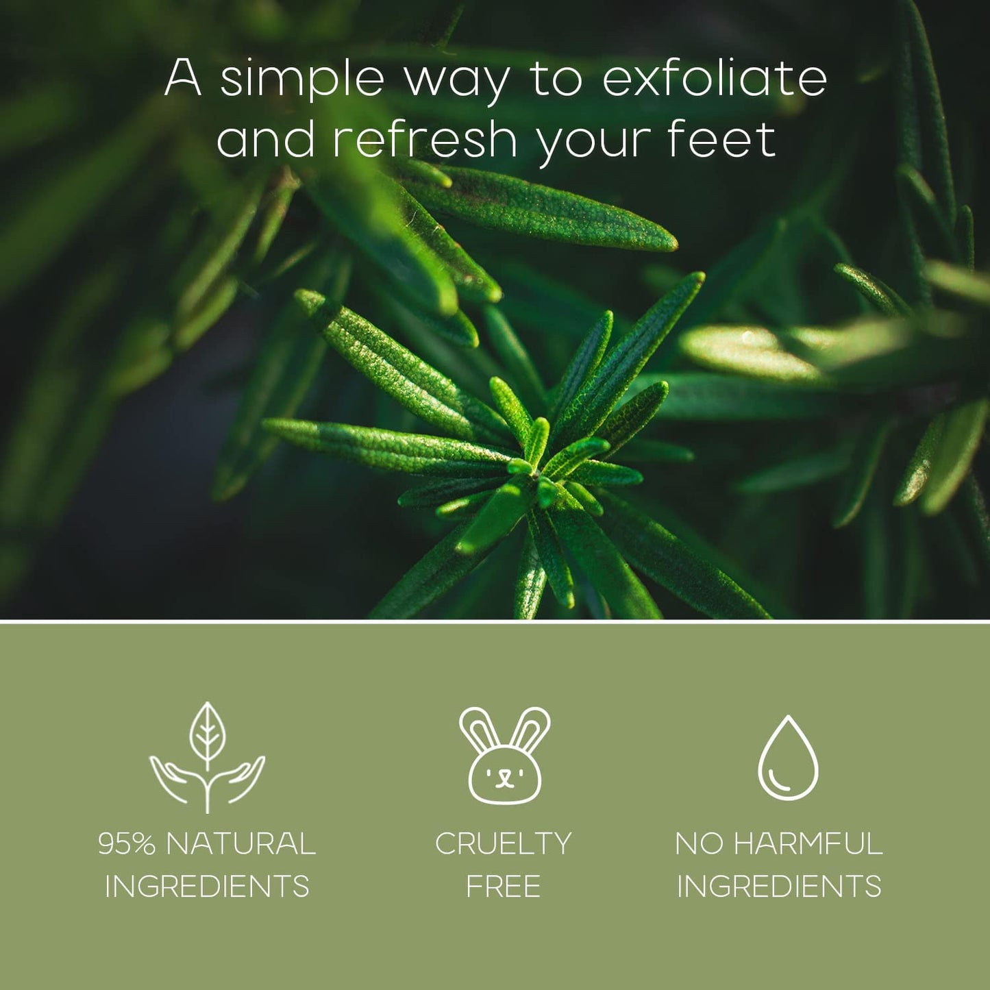 Mint & Tea Tree Foot Masks - Repairs & Softens Cracked Feet, Hydrating & Exfoliating - Dermatologist Tested Korean Skincare - Clean Beauty, Natural Ingredients, Cruelty-Free - 3 Pairs