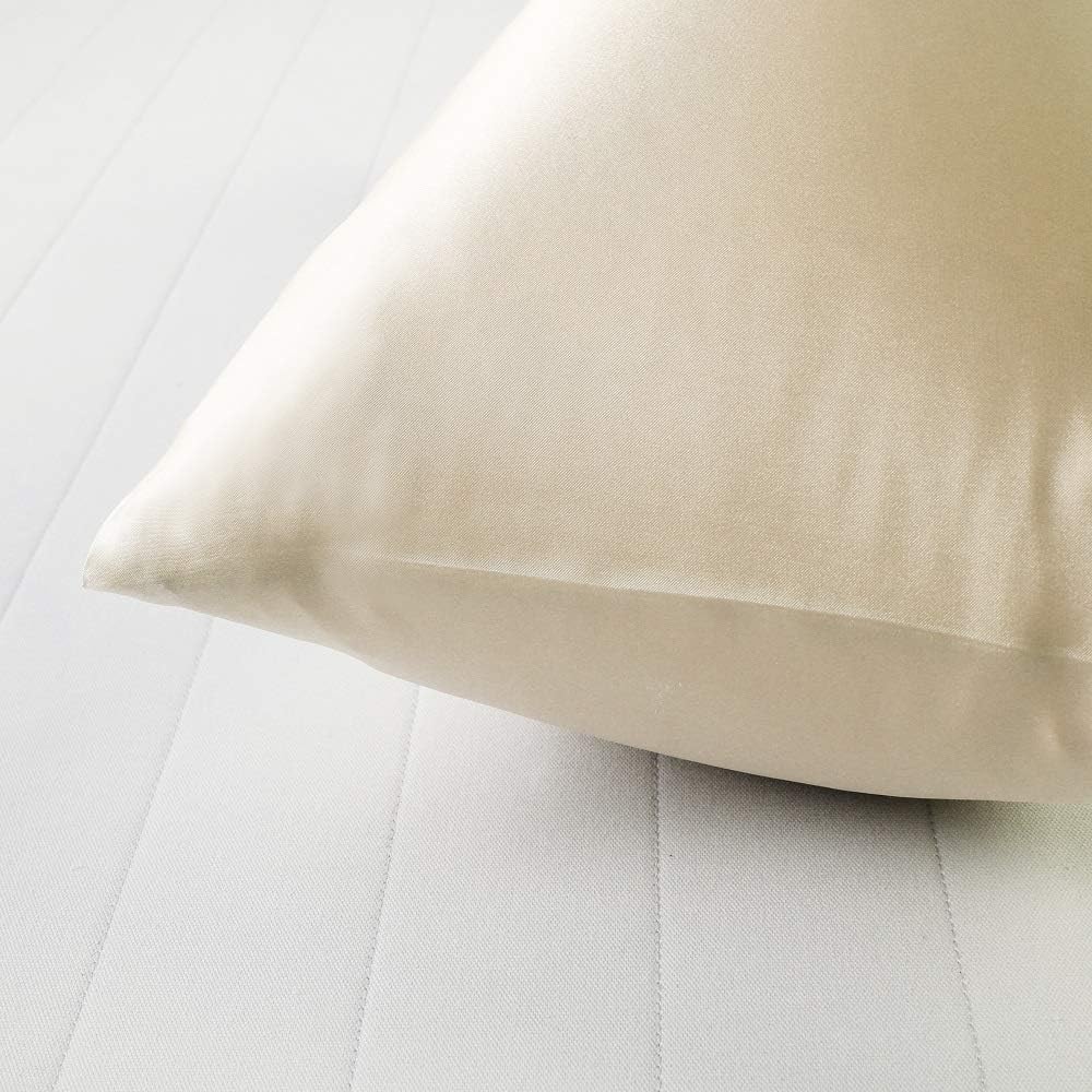 Silky Satin Toddler Pillowcases Set of 2, Super Soft Travel Pillow Covers, Small Kids Pillow Cases with Envelope Closure, 13"x 18", Champagne