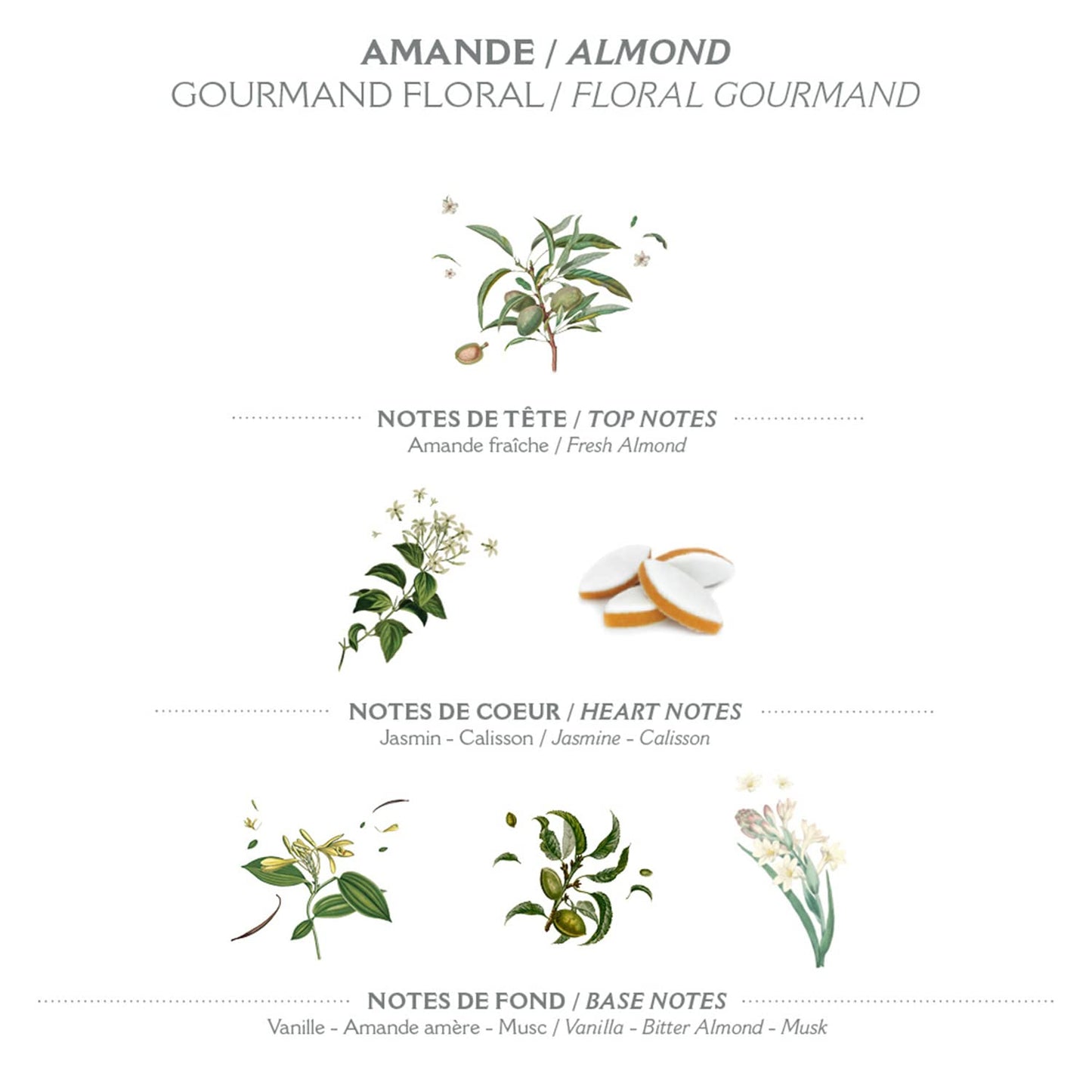 Panier des Sens - Pretty Hands Set - Almond Mini Hand Cream + Nail & Cuticle Oil - 97% Natural, Shea Butter & Sweet Almond - Travel Gift Set for Dry, Cracked Hands - French Skincare Holiday Gift