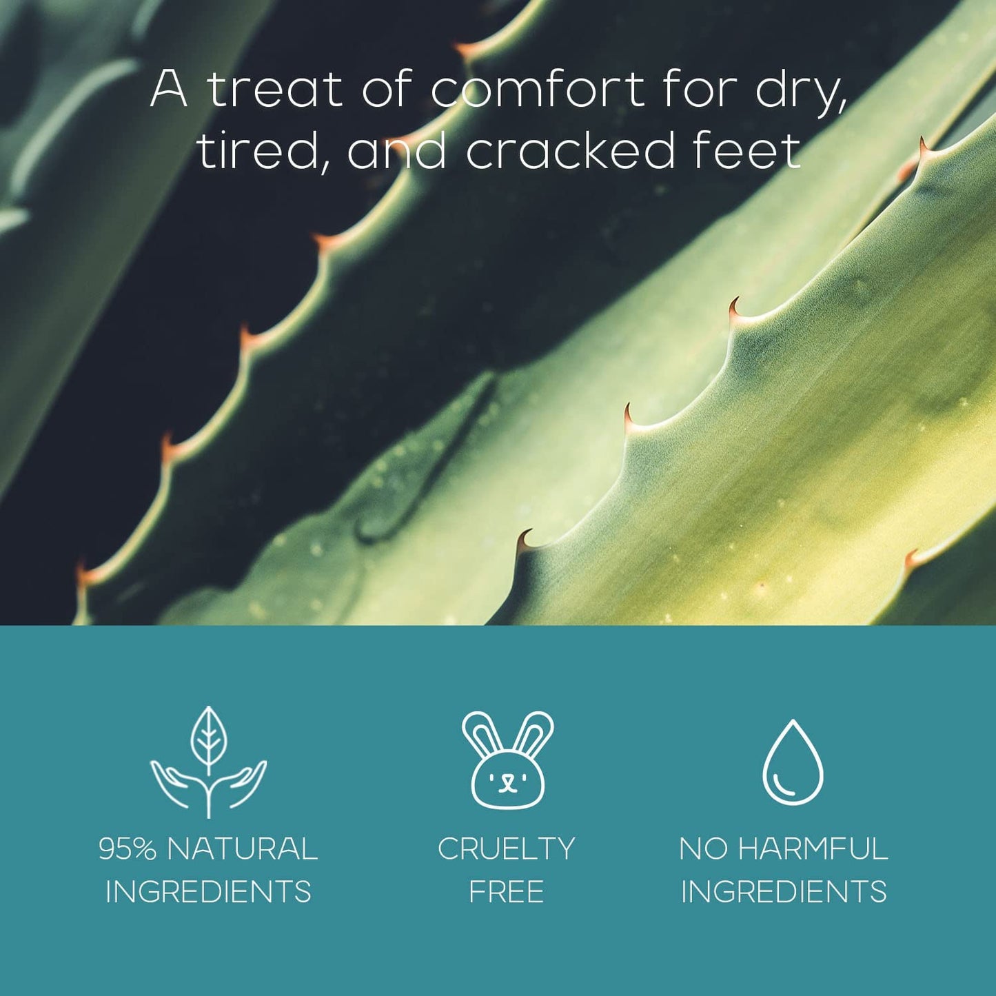 Sea Salt & Aloe Foot Masks - Moisturizes & Exfoliates Dry, Cracked Feet, Hydrating Foot Mask - Dermatologist Tested Korean Skincare - Clean Beauty, Cruelty-Free - 3 Pairs