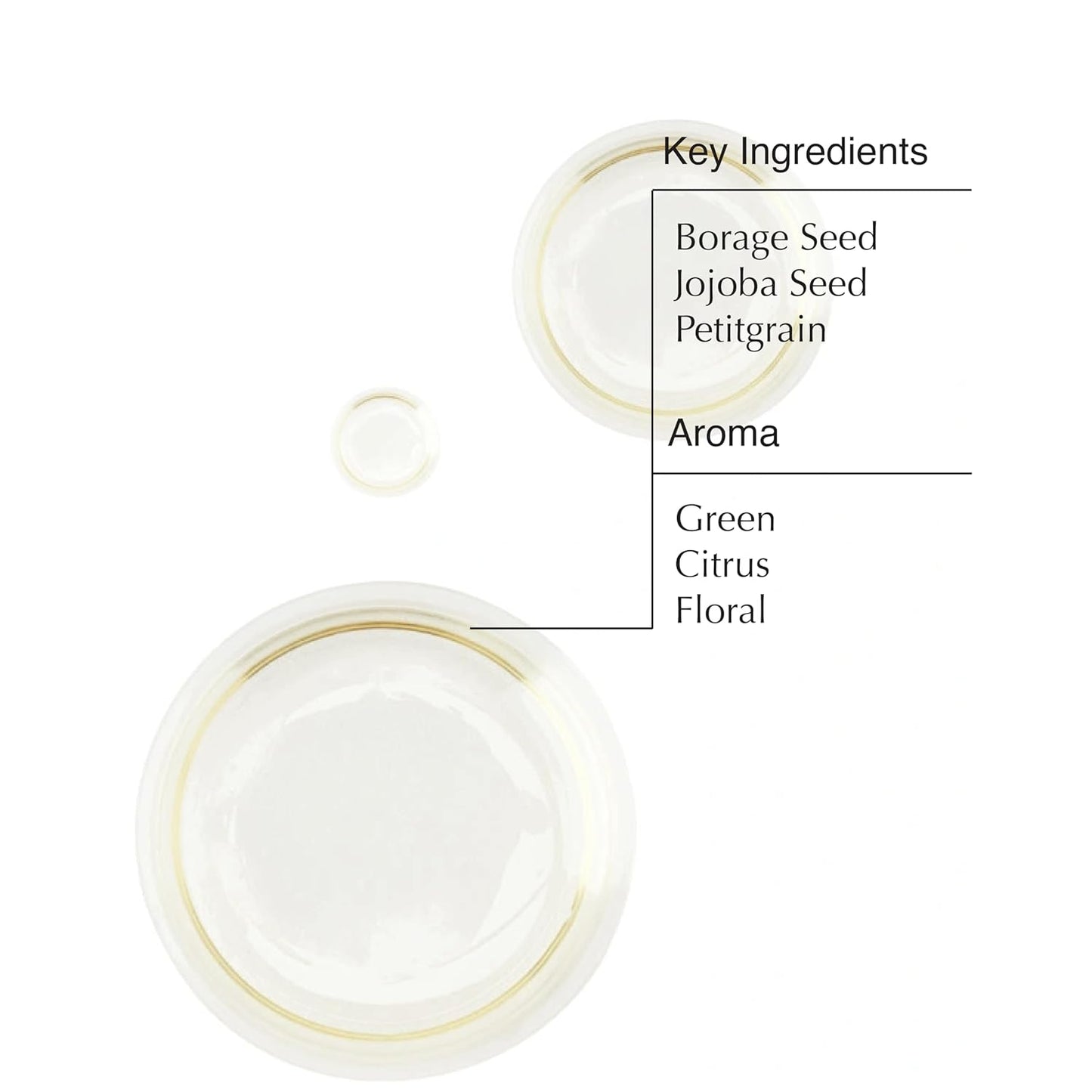 Aesop Shine Hair and Beard Oil | Moisture-Rich, Silicone-Free Oil for Full Beards and Hair | Softens Coarse Texture | No Greasy Buildup | Green Citrus Scent | 0.8 oz / 25 mL