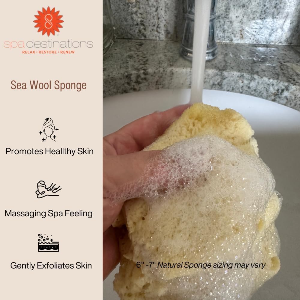 Spa Destinations Natural Sea Wool Sponge 5-6" Natural Renewable Resource Bath & Shower