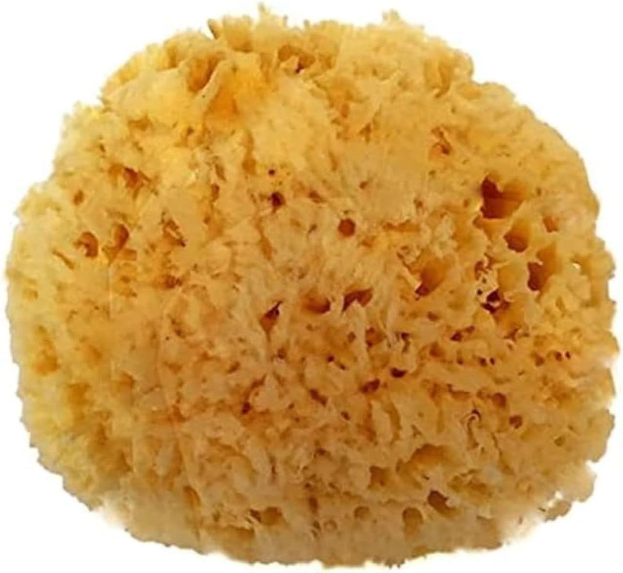 Spa Destinations Natural Sea Wool Sponge 5-6" Natural Renewable Resource Bath & Shower