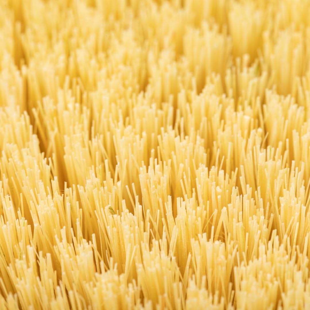 Body Brush, Natural Bristle Exfoliator for Smooth, Radiant Skin, Lymphatic Drainage, and Skin Toning Brush for Shower or Dry Brushing