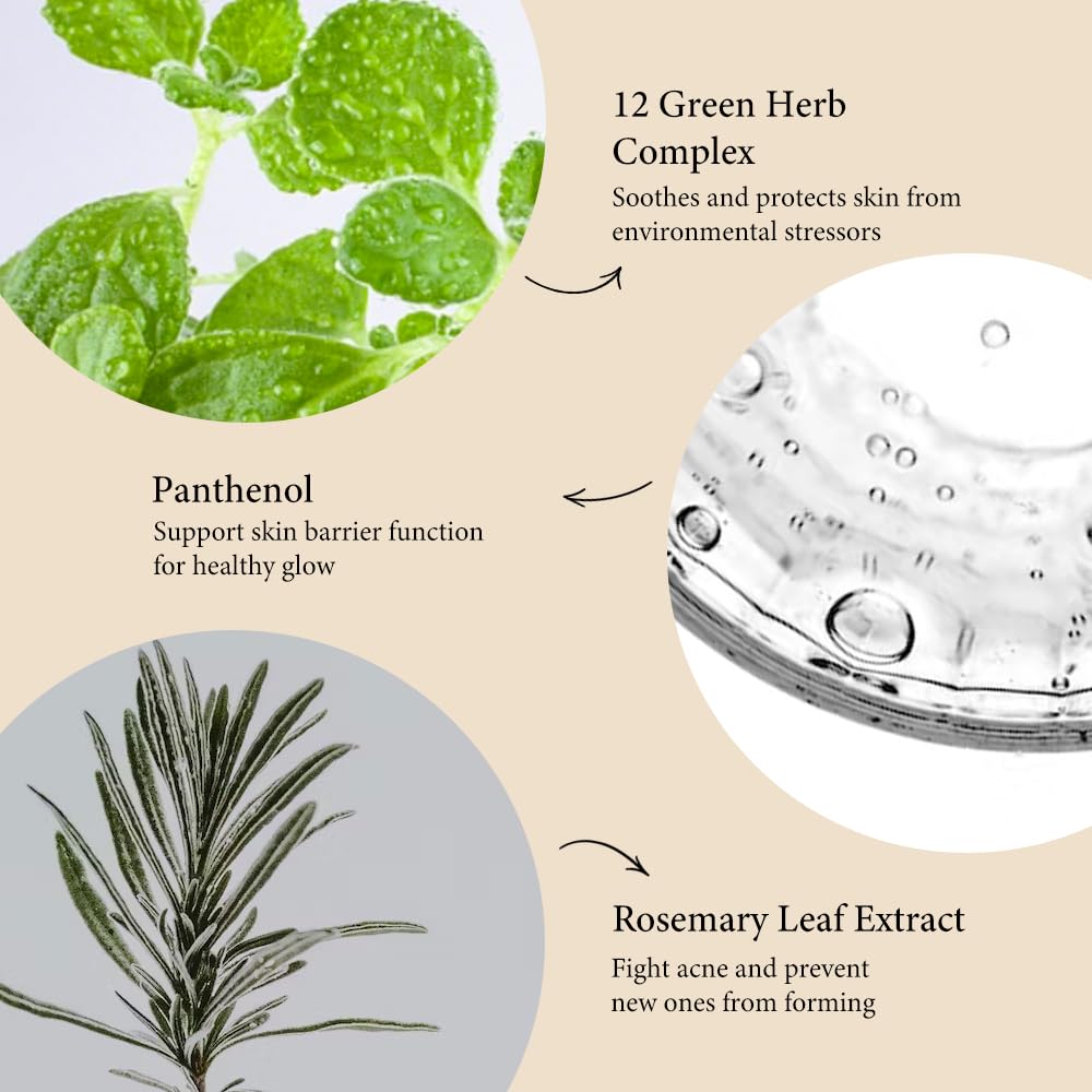 Fraijour Herb Wormwood O₂ Mask Pack – Korean Oxygen Bubble Face Mask for Sensitive, Oily & Acne-Prone Skin, Exfoliating with AHA BHA, Tea Tree & Peppermint, Smooths & Refreshes, 10.1 fl.oz.