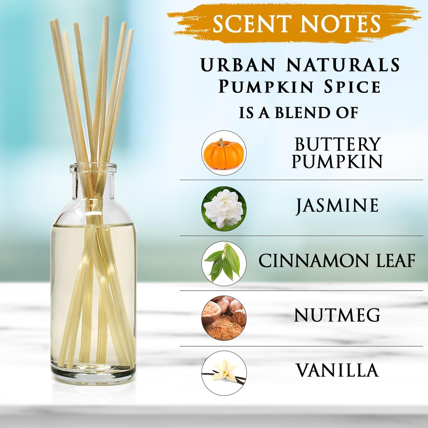 Urban Naturals Pumpkin Spice Reed Diffuser Set - Buttery Pumpkin with Jasmine, Cinnamon Leaf, Nutmeg and Vanilla - Made in The USA