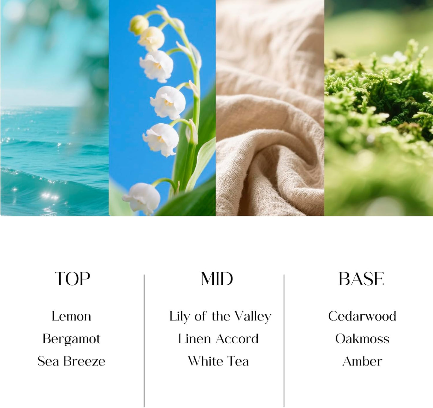 Clesh Reed Diffuser Set, 6.7 oz Linen Scented Diffuser with Sticks, Home Fragrance Reed Diffuser for Bathroom Shelf Decor, Linen Meditation