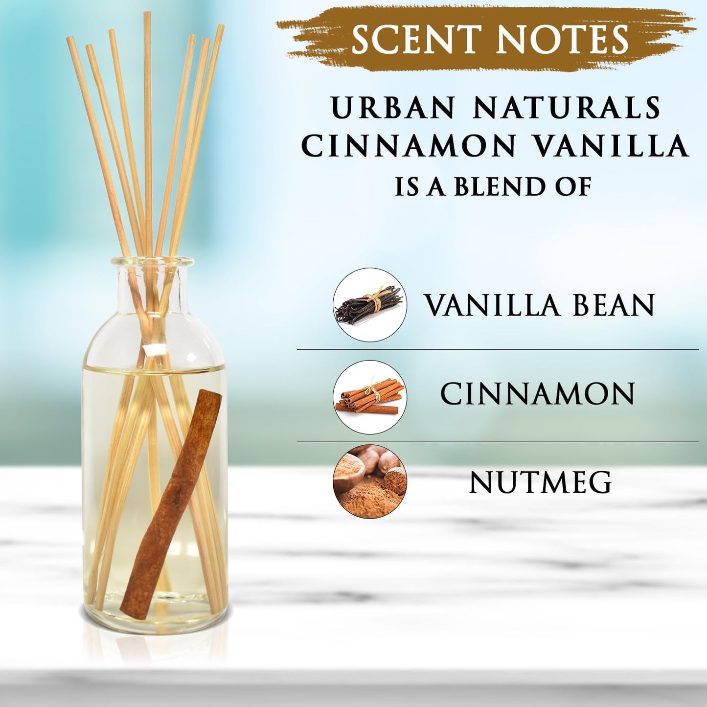 Urban Naturals Cinnamon Vanilla Oil Reed Diffuser Set | Warm, Fresh Baked Cookies | Perfect Fall Scent! | Made w/Essential Oils | Great Kitchen Scent & Gift Idea | Eco-Friendly. Vegan.