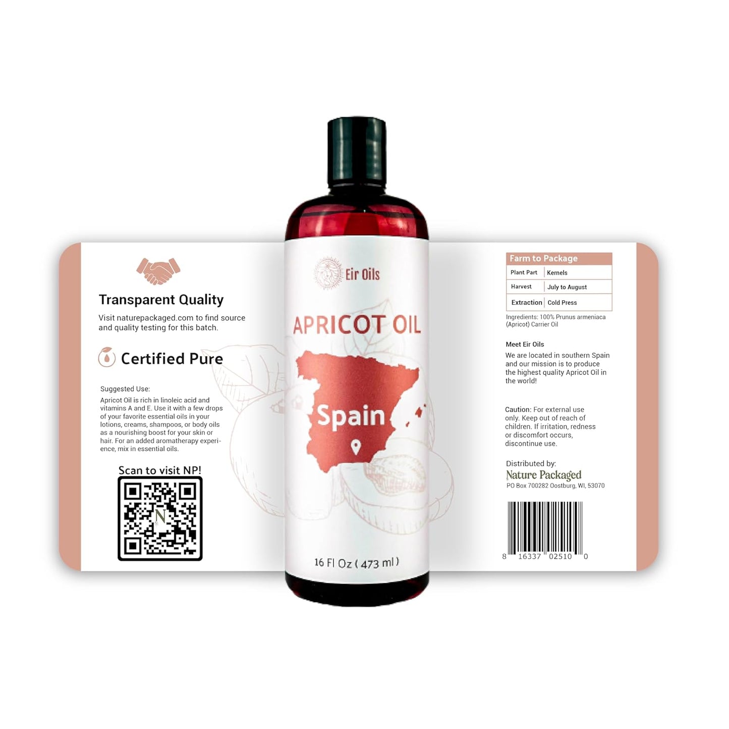 Apricot Kernel Oil - Direct from Spain and Turkey - 100% Pure Carrier Oil for Hair, Face, and Skin - Cold-Pressed Carrier Oils - (16 oz) 1 Pack