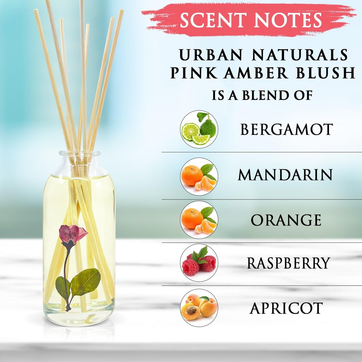 Urban Naturals Pink Amber Blush Reed Diffuser Set | Made with Essential Oils & Real Botanicals | Beautiful Florals, Luscious Fruits, Vanilla, Amber & Sandalwood | Made in The USA