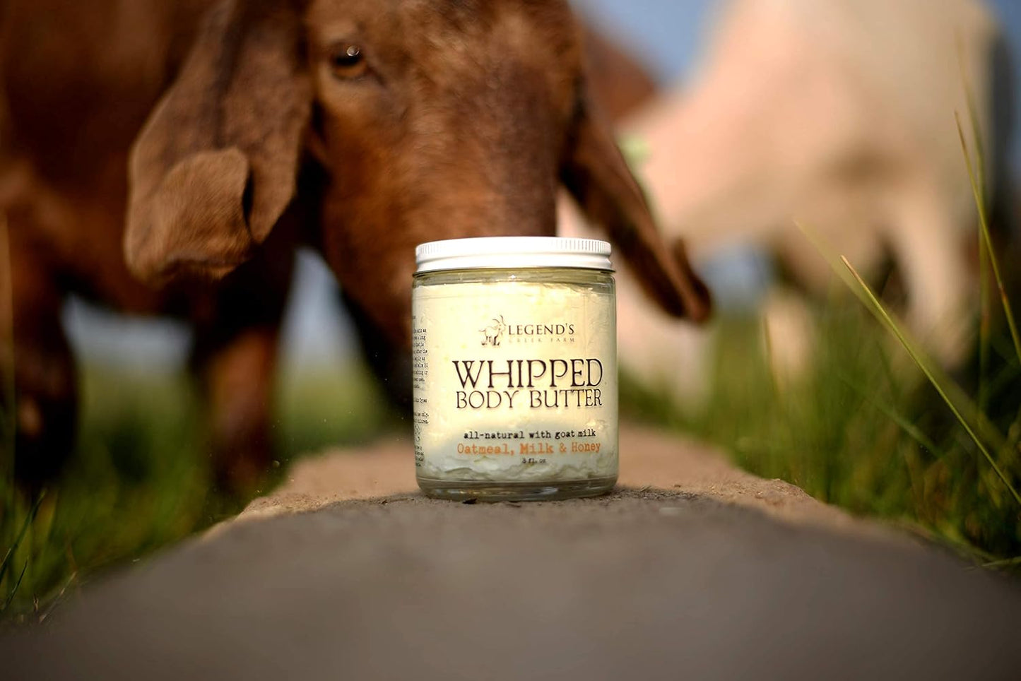 Legend's Creek Farm, Whipped Goat Milk Body Butter, Hydrating Moisturizer with Organic Shea Butter & Grape Seed Oil, Purifying & Toning, Handmade in USA, 8 Oz Jar (Oatmeal, Milk & Honey B.B.)