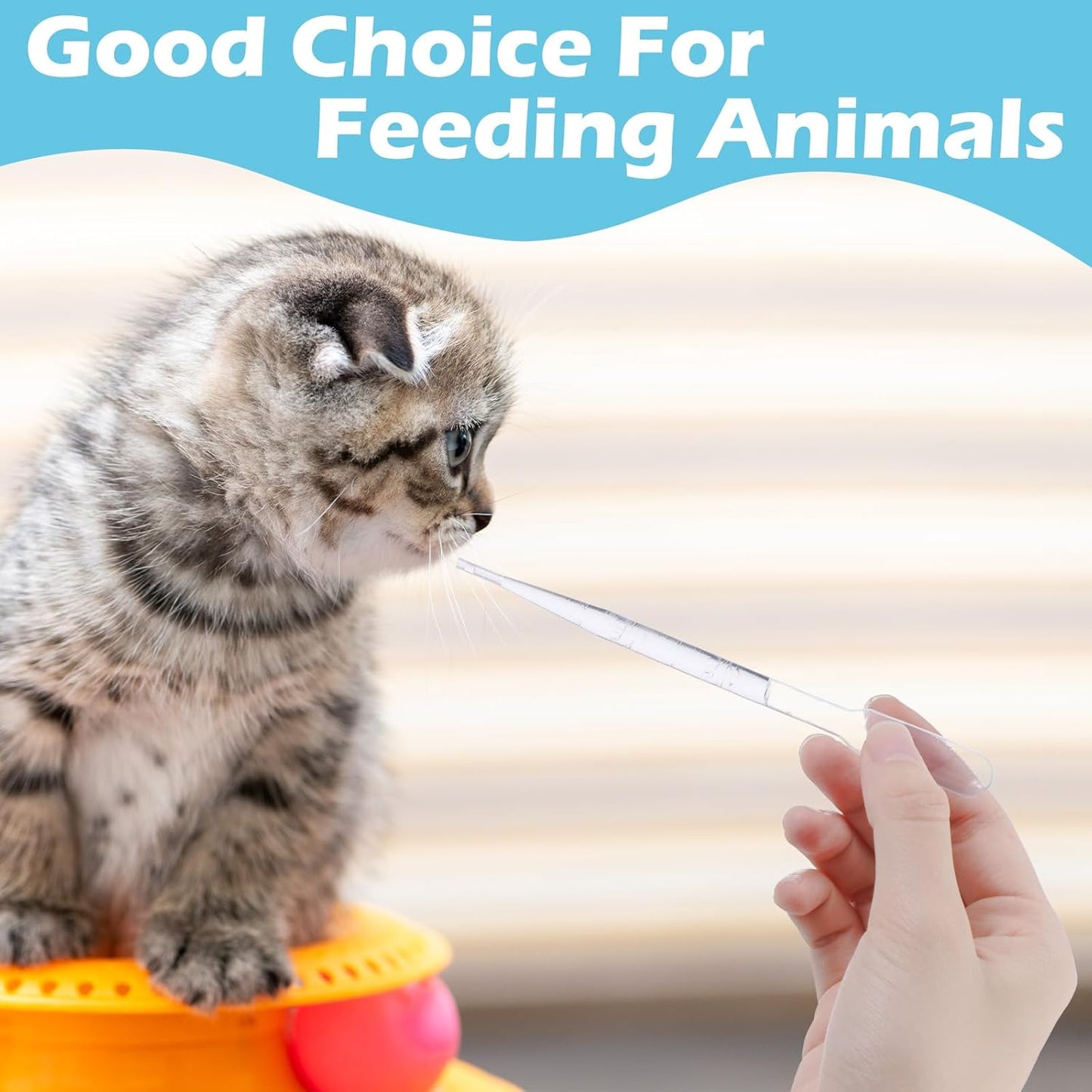 1000 Pcs Plastic Transfer Pipettes Disposable Graduated Pipettes for Scientific Experiment, Essential Oils, Make up Tool (3 ml)