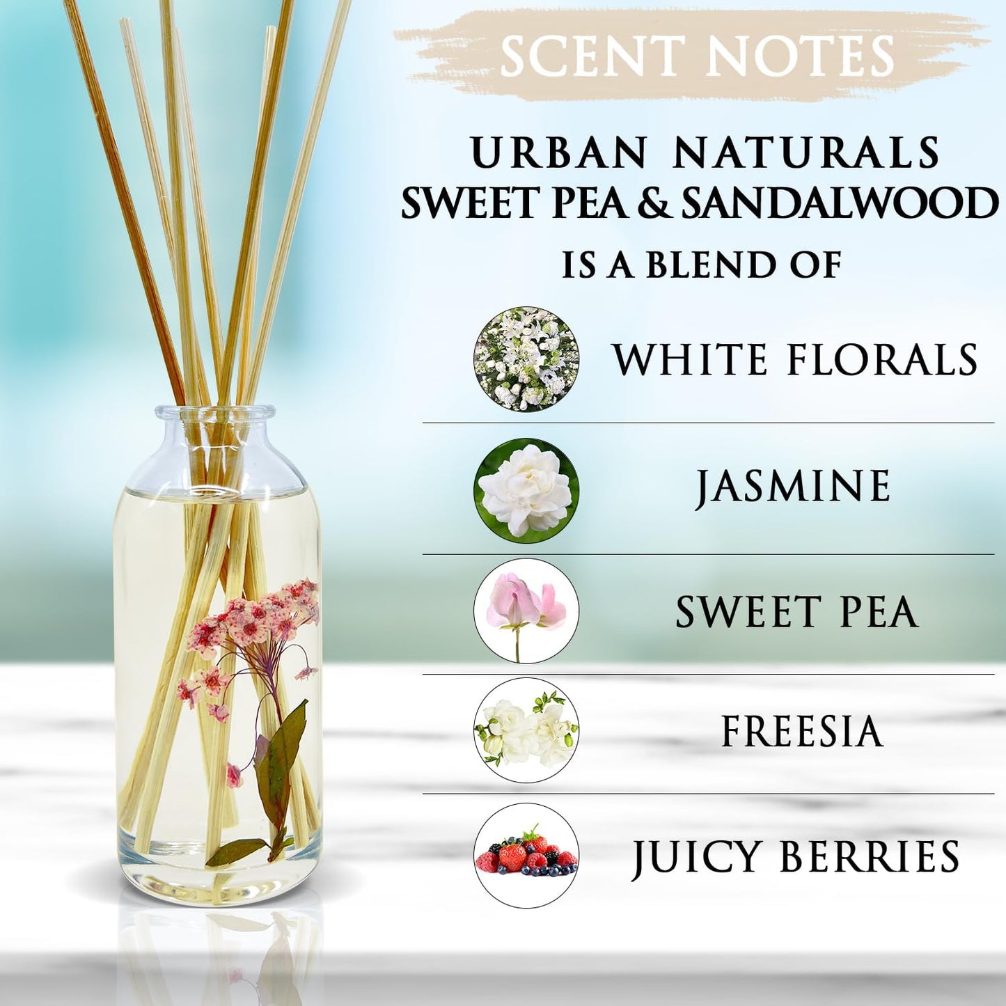 Urban Naturals Sweet Pea & Sandalwood Reed Diffuser Set | Made with Essential Oils & Real Botanicals | White Florals, Jasmine, Sweet Pea, Juicy Berries & Sandalwood | Made in The USA