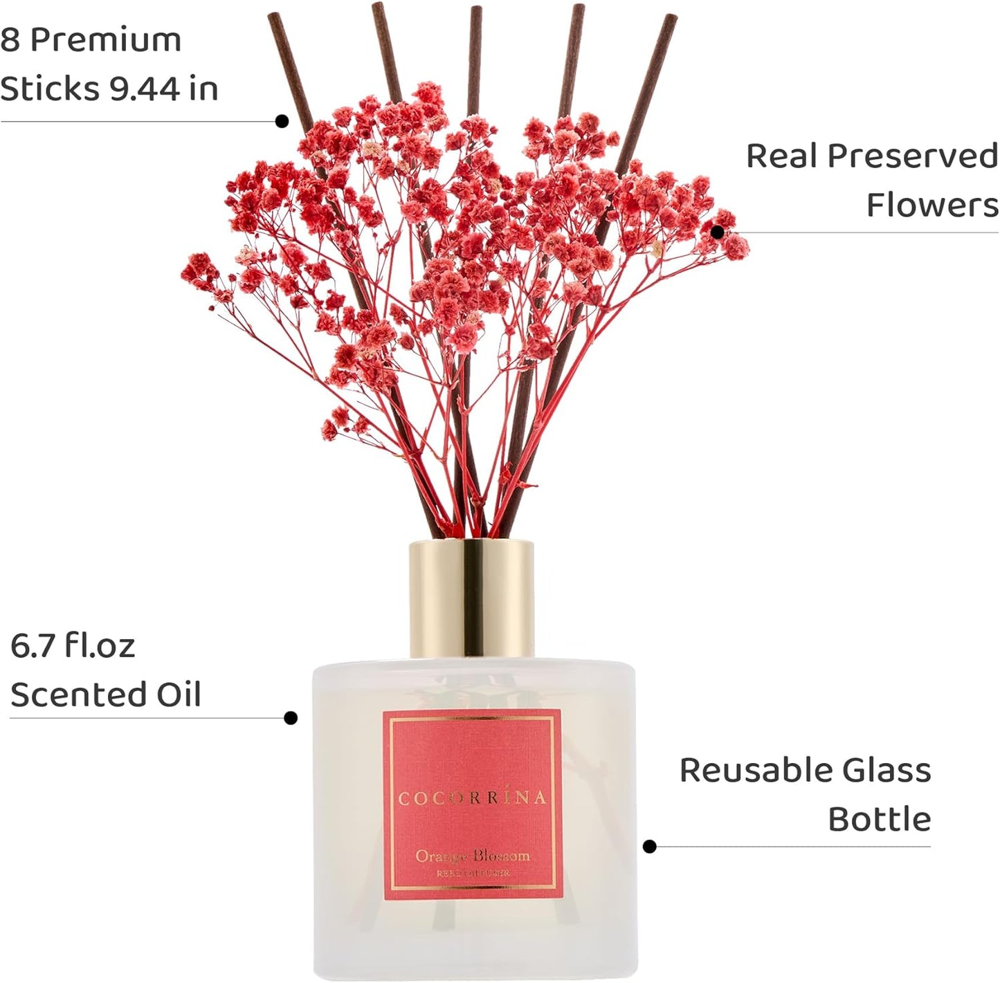 COCORRÍNA Reed Diffuser - Orange Blossom 6.76 Fl.oz Reed Diffuser Sets with Preserved Flowers, Diffuser with 8 Sticks for Bathroom Shelf Decor
