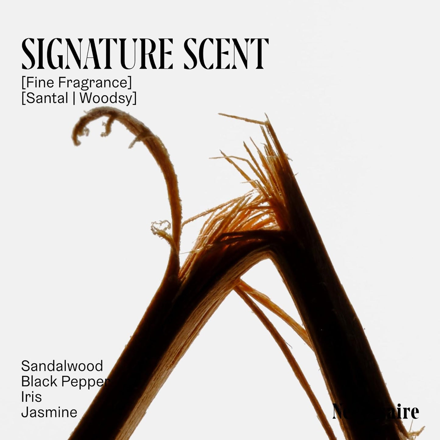 Nécessaire Body Essentials Set – Santal Scented Travel Body Wash, Lotion & Aluminum-Free Deodorant – Clean Skincare for Men + Women – Dermatologist-Tested, Hypoallergenic – 3-Piece Travel Set